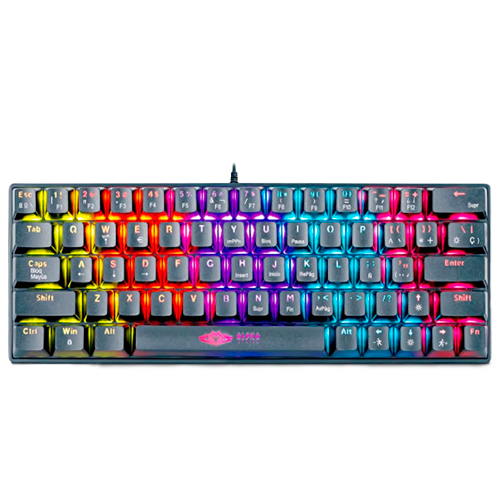 PEGASO MECANICO RAINBOW