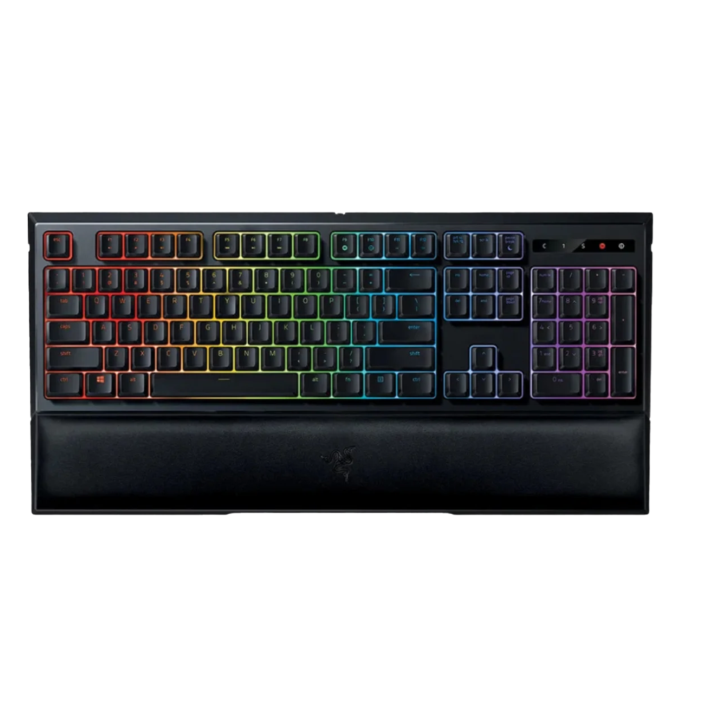 ORNATA CHROMA